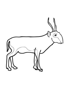 Antelope coloring page - picture 33