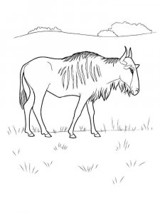 Antelope coloring page - picture 34