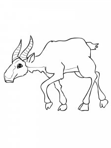 Antelope coloring page - picture 4