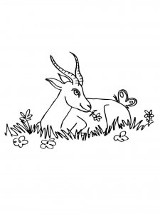Antelope coloring page - picture 5