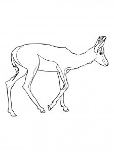 Antelope coloring page - picture 6