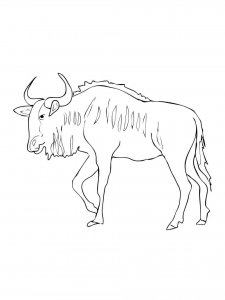 Antelope coloring page - picture 8