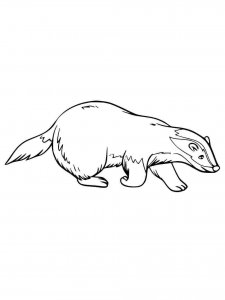 Badger coloring page - picture 1