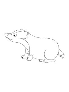Badger coloring page - picture 16