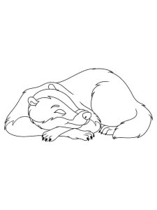 Badger coloring page - picture 21