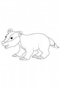 Badger coloring page - picture 22