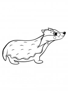 Badger coloring page - picture 23