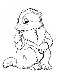Badger coloring page - picture 3
