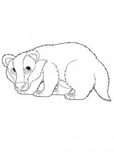 Badger coloring page - picture 7