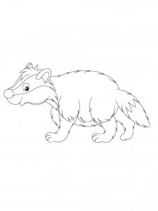 Badger coloring page - picture 8