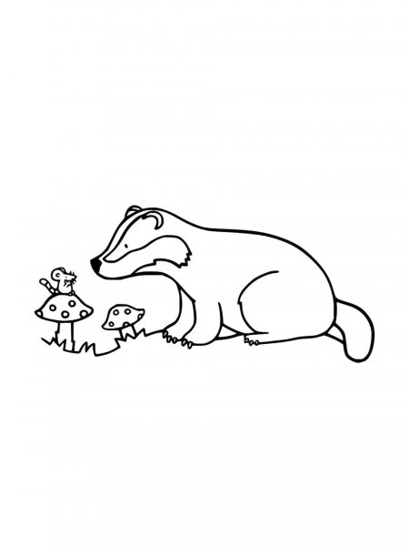 Badger coloring pages