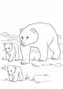 Mother Bear with Two Cubs Coloring Page