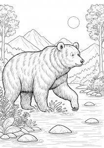 Bear Walking Through a River Coloring Page