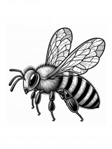 Bee coloring page - picture 22