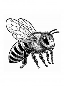 Bee coloring page - picture 23