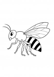 Detalied bee coloring page