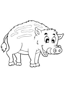 Boar coloring page - picture 12