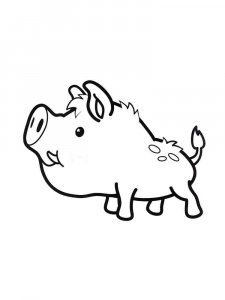 Boar coloring page - picture 15