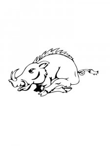 Boar coloring page - picture 20