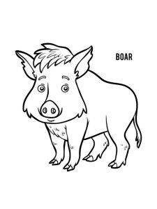 Boar coloring page - picture 26