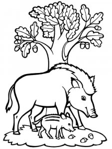 Boar coloring page - picture 3