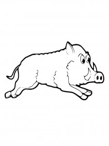 Boar coloring page - picture 31