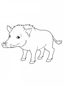 Boar coloring page - picture 32