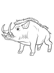 Boar coloring page - picture 33