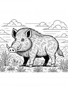 Boar coloring page - picture 39