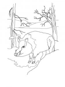 Boar coloring page - picture 4