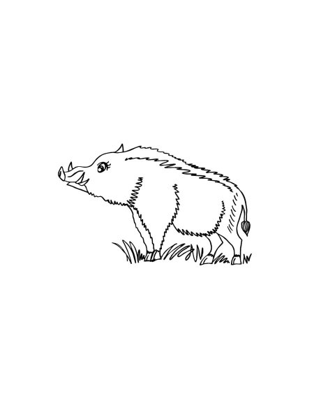 Boar coloring pages