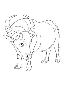Buffalo coloring page - picture 2
