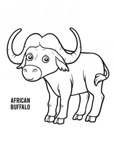 Buffalo coloring page - picture 21