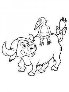 Buffalo coloring page - picture 3