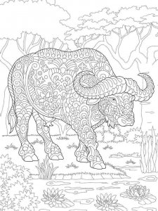 Buffalo coloring page - picture 5