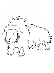 Buffalo coloring page - picture 7