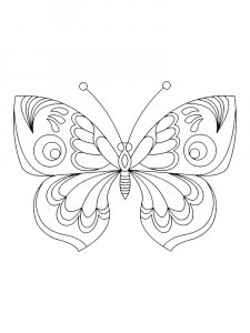 Butterfly coloring page - picture 29