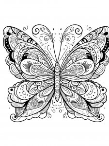 Butterfly coloring page - picture 33