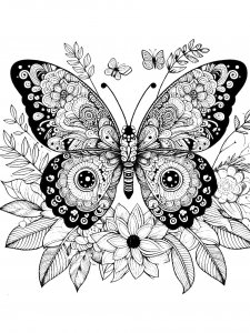 Butterfly coloring page - picture 38