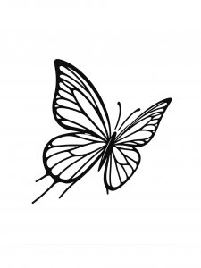 Butterfly coloring page - picture 44