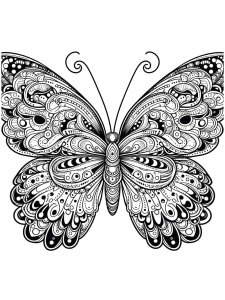 Butterfly coloring page - picture 45