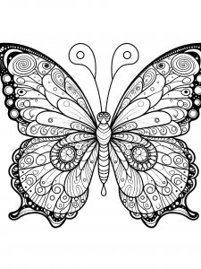 Butterfly coloring page - picture 48