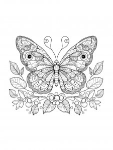 Butterfly coloring page - picture 50