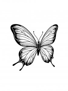 Butterfly coloring page - picture 56
