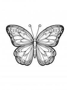 Butterfly coloring page - picture 57