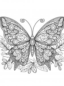 Butterfly coloring page - picture 58