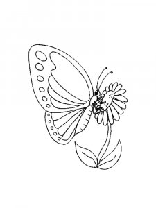 Butterfly coloring page - picture 63