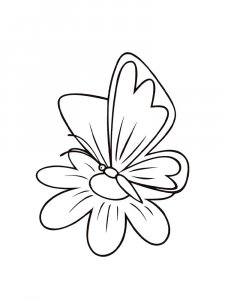 Butterfly coloring page - picture 75
