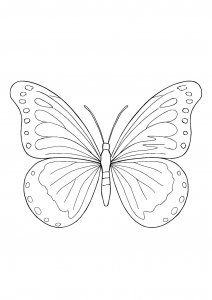 Butterfly with Decorative Patterns Coloring Page