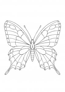 Swallowtail Machaon Butterfly Coloring Page